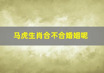 马虎生肖合不合婚姻呢