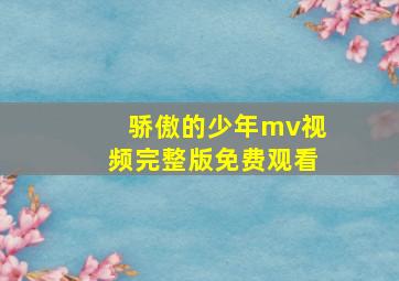 骄傲的少年mv视频完整版免费观看