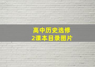 高中历史选修2课本目录图片