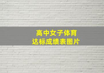 高中女子体育达标成绩表图片