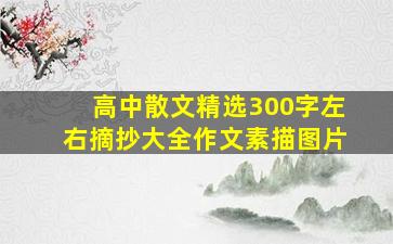 高中散文精选300字左右摘抄大全作文素描图片