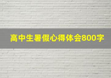 高中生暑假心得体会800字