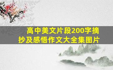 高中美文片段200字摘抄及感悟作文大全集图片