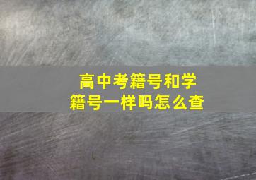 高中考籍号和学籍号一样吗怎么查