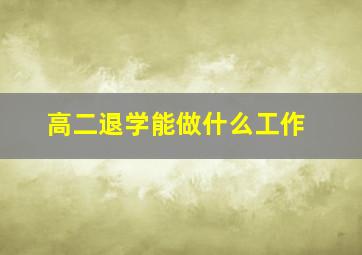 高二退学能做什么工作