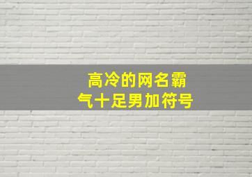 高冷的网名霸气十足男加符号