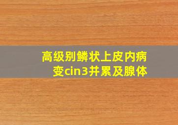 高级别鳞状上皮内病变cin3并累及腺体