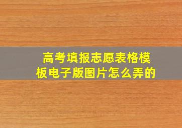 高考填报志愿表格模板电子版图片怎么弄的