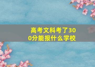 高考文科考了300分能报什么学校