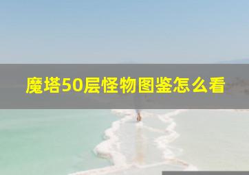 魔塔50层怪物图鉴怎么看