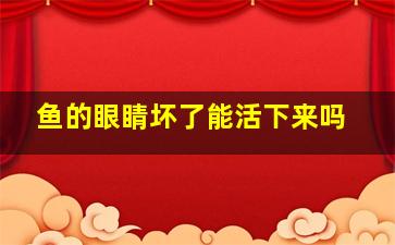 鱼的眼睛坏了能活下来吗