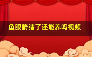 鱼眼睛瞎了还能养吗视频