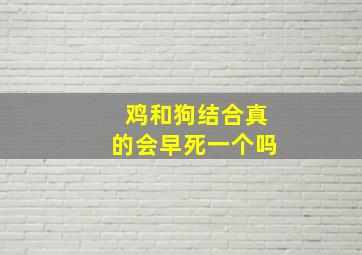 鸡和狗结合真的会早死一个吗