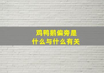 鸡鸭鹅偏旁是什么与什么有关