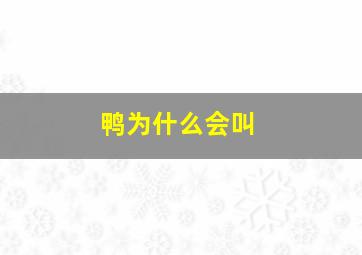 鸭为什么会叫