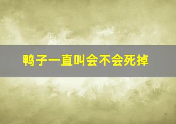 鸭子一直叫会不会死掉