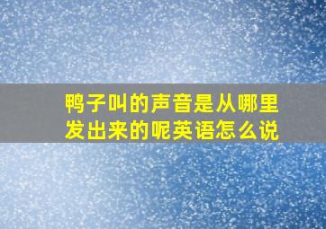 鸭子叫的声音是从哪里发出来的呢英语怎么说