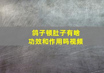 鸽子顿肚子有啥功效和作用吗视频