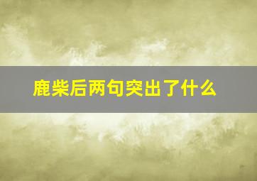 鹿柴后两句突出了什么