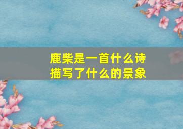 鹿柴是一首什么诗描写了什么的景象