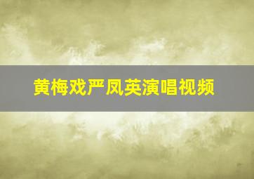 黄梅戏严凤英演唱视频