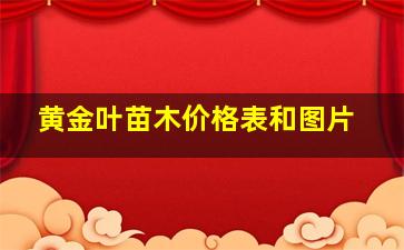 黄金叶苗木价格表和图片