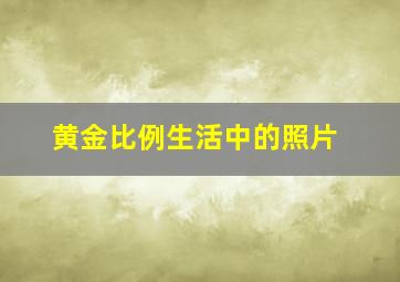 黄金比例生活中的照片