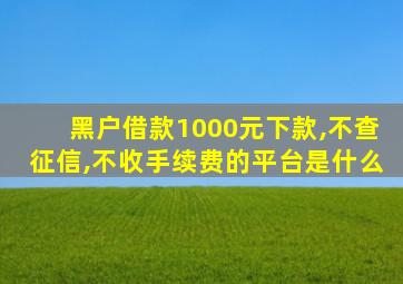 黑户借款1000元下款,不查征信,不收手续费的平台是什么