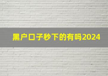 黑户口子秒下的有吗2024