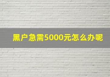 黑户急需5000元怎么办呢