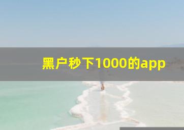 黑户秒下1000的app