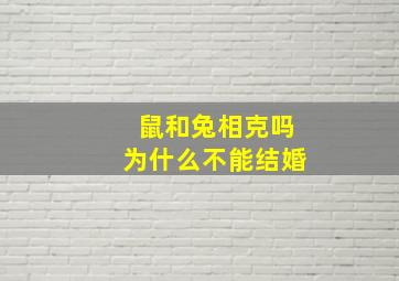 鼠和兔相克吗为什么不能结婚