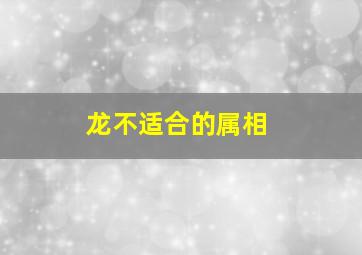 龙不适合的属相