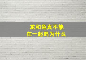 龙和兔真不能在一起吗为什么