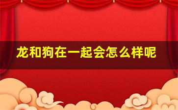 龙和狗在一起会怎么样呢