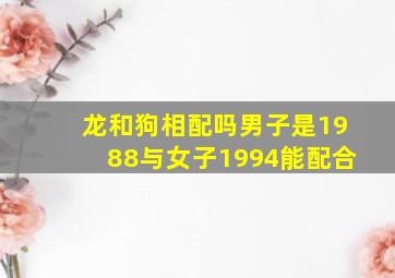 龙和狗相配吗男子是1988与女子1994能配合