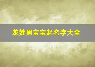 龙姓男宝宝起名字大全