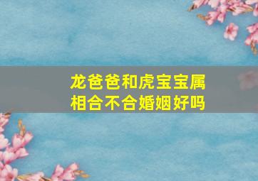 龙爸爸和虎宝宝属相合不合婚姻好吗