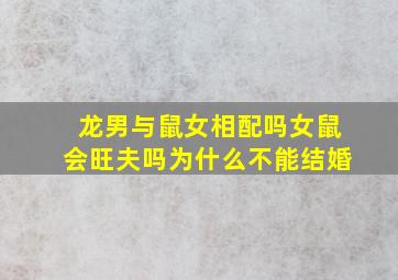 龙男与鼠女相配吗女鼠会旺夫吗为什么不能结婚