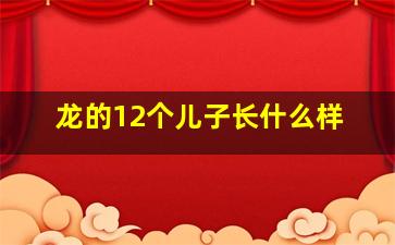 龙的12个儿子长什么样