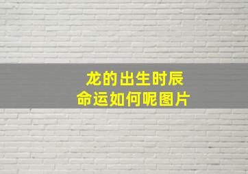 龙的出生时辰命运如何呢图片