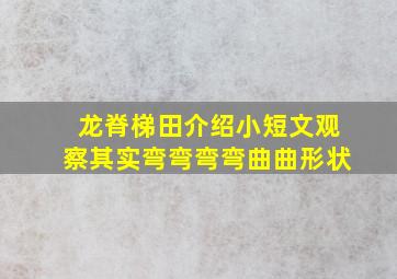 龙脊梯田介绍小短文观察其实弯弯弯弯曲曲形状