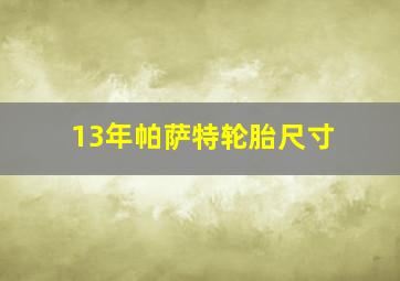 13年帕萨特轮胎尺寸