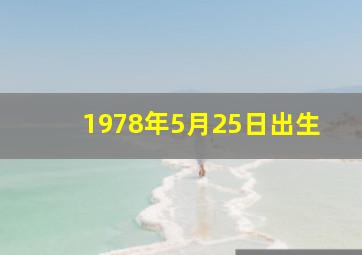 1978年5月25日出生