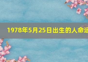 1978年5月25日出生的人命运