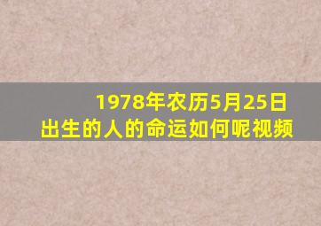 1978年农历5月25日出生的人的命运如何呢视频