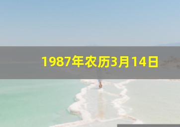 1987年农历3月14日