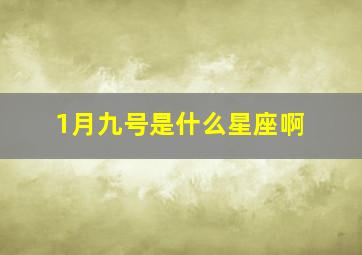 1月九号是什么星座啊