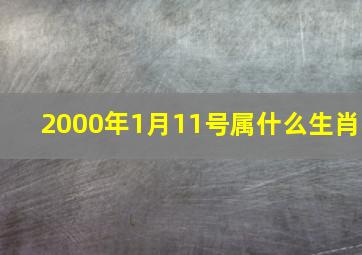 2000年1月11号属什么生肖