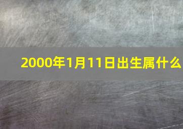 2000年1月11日出生属什么